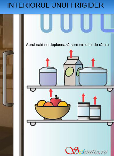 Interiorul frigiderului Interiorul frigiderului