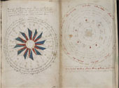 Manuscrisul Voynich