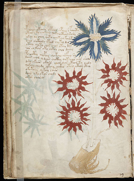Manuscrisul Voynich Manuscrisul Voynich