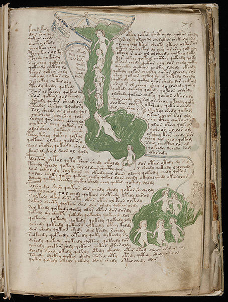 Manuscrisul Voynich Manuscrisul Voynich