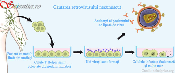 Detectarea HIV
