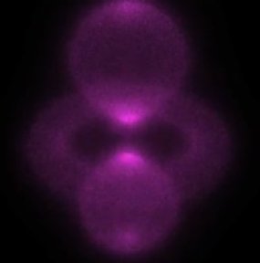 Orbital electronic