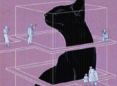 Interpretarile mecanicii cuantice