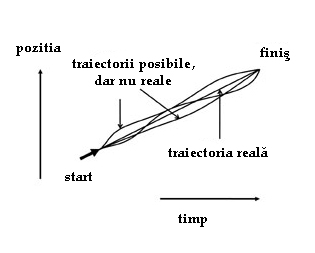 Viziunea lui Maupertuis
