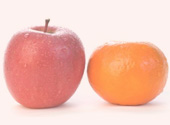 Fructe