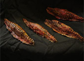 Viermi