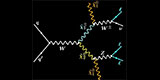 neutralino