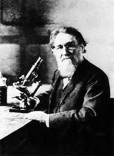 Elie Metchnikoff