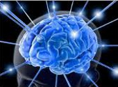 Activitate cerebrala