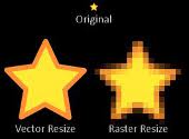 Raster vs Vector