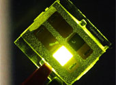 OLED