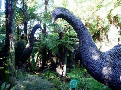 Pasarea Moa Pasarea Moa