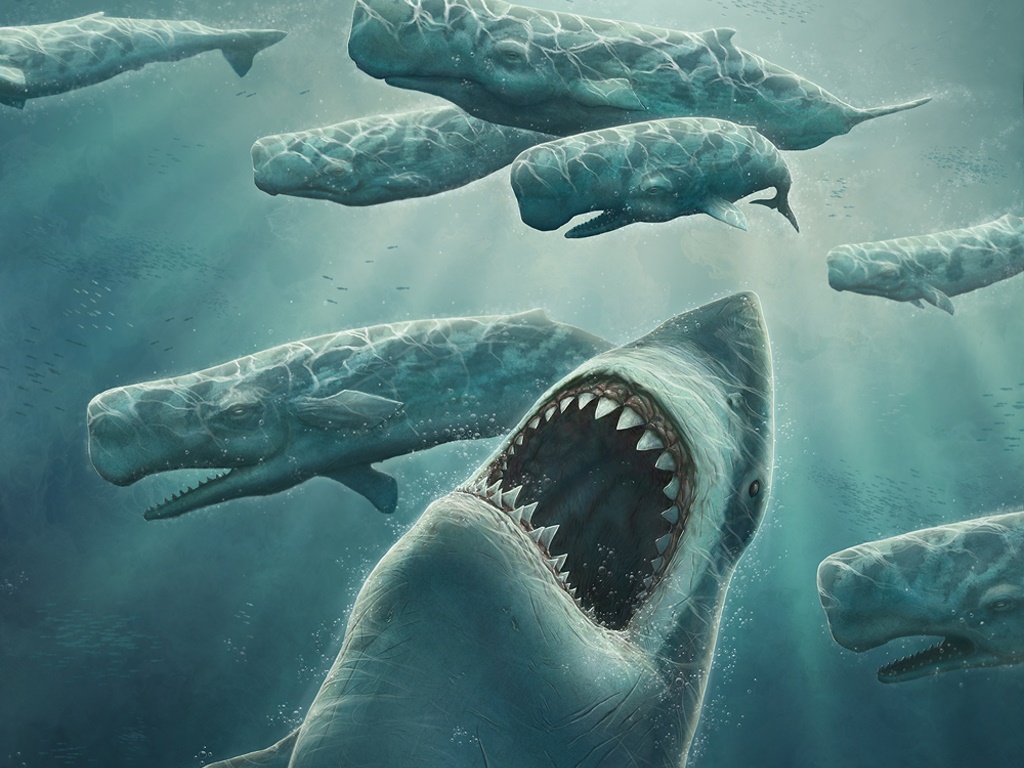 Megalodon Megalodon