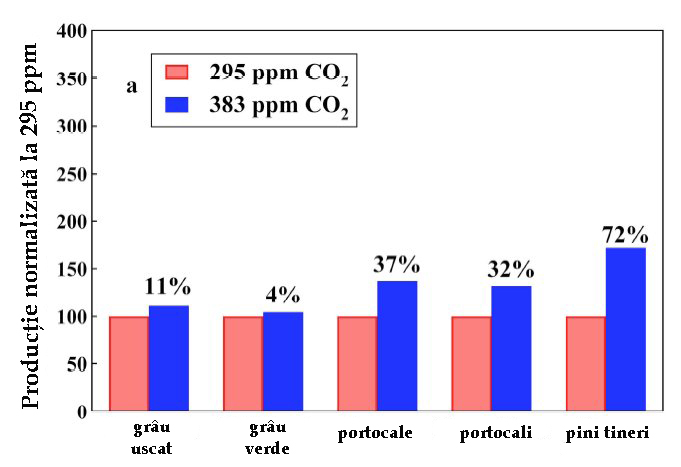 influenta dioxidului de carbon asupra vegetatiei influenta dioxidului de carbon asupra vegetatiei