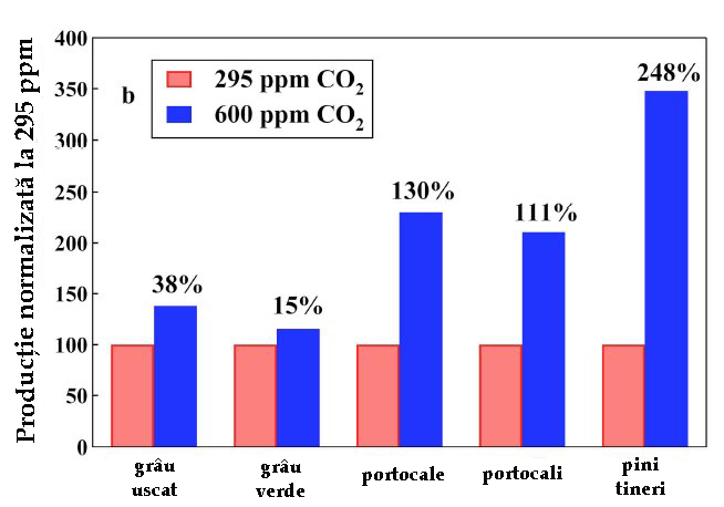 relatia dioxid de carbon vegetatie relatia dioxid de carbon vegetatie