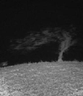 Erupţie solară Erupţie solară