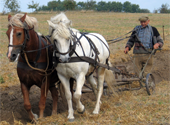 Agricultura